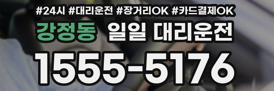 강정동 일일 대리운전