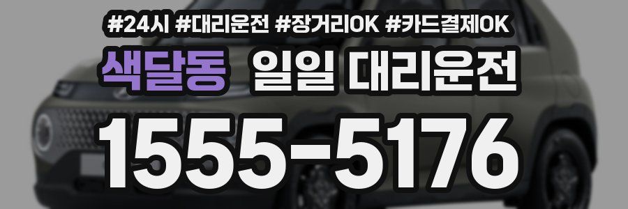 색달동 일일 대리운전