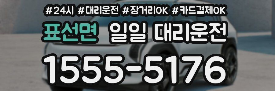 표선면 일일 대리운전