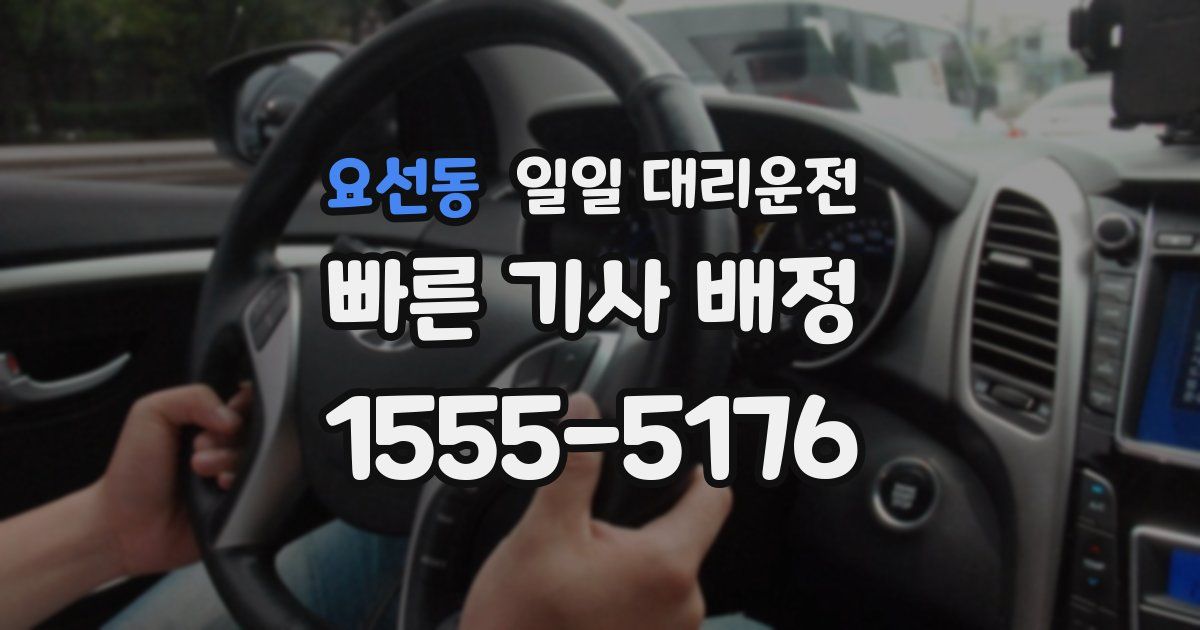 요선동 일일 대리운전
