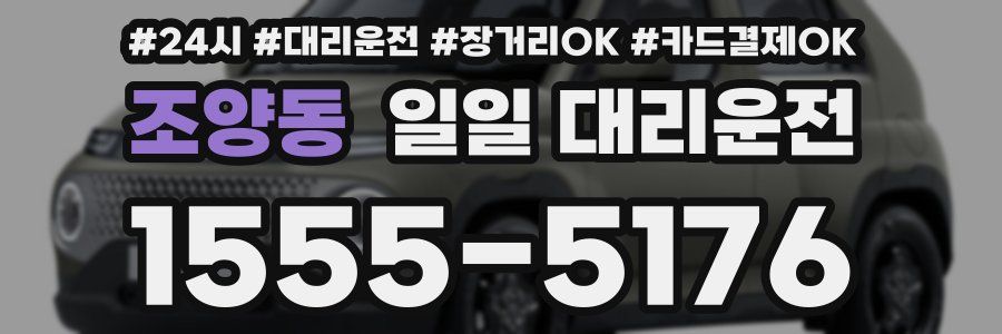 조양동 일일 대리운전