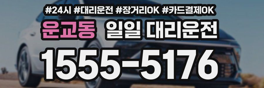 운교동 일일 대리운전