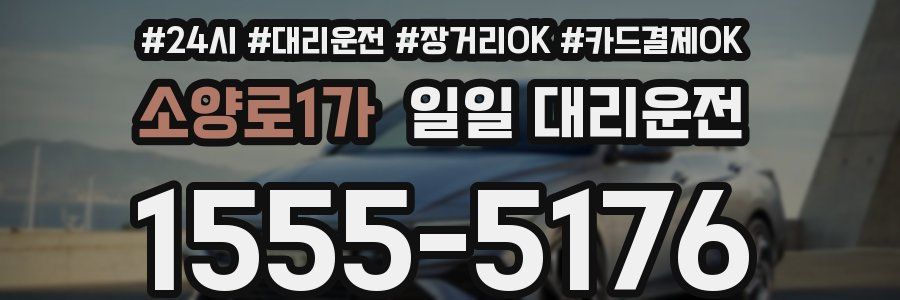 소양로1가 일일 대리운전