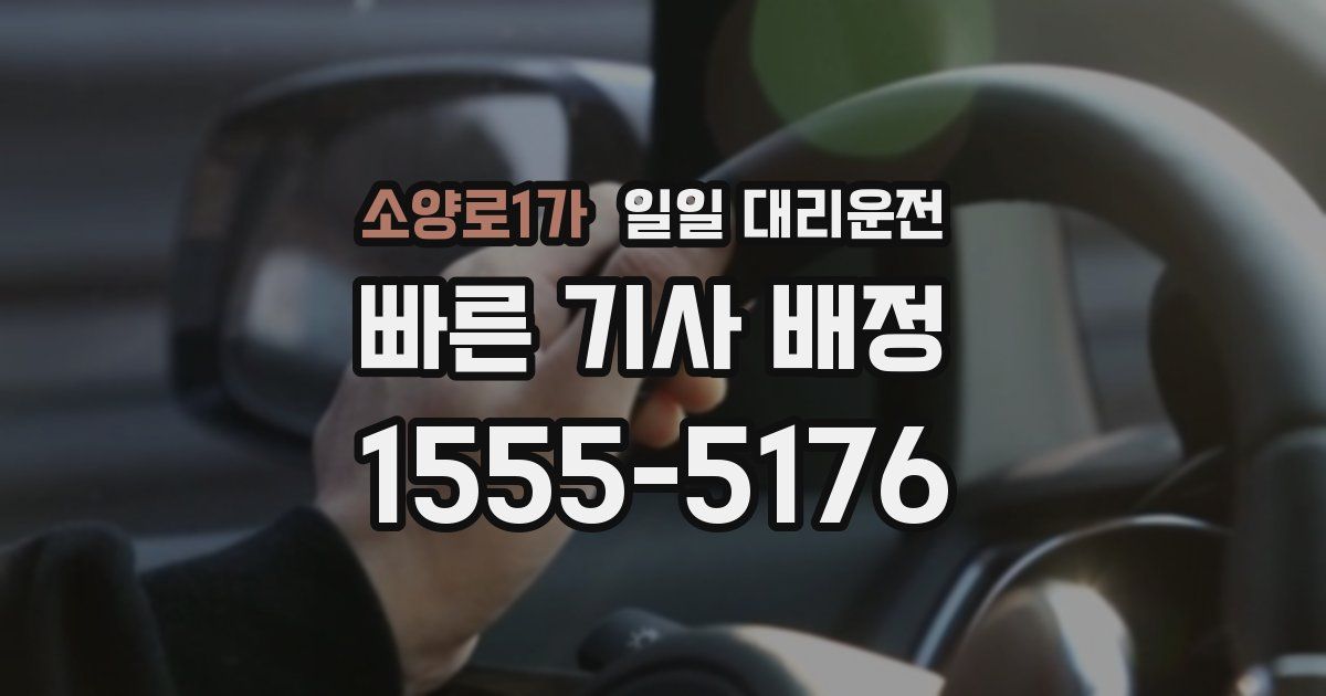 소양로1가 일일 대리운전