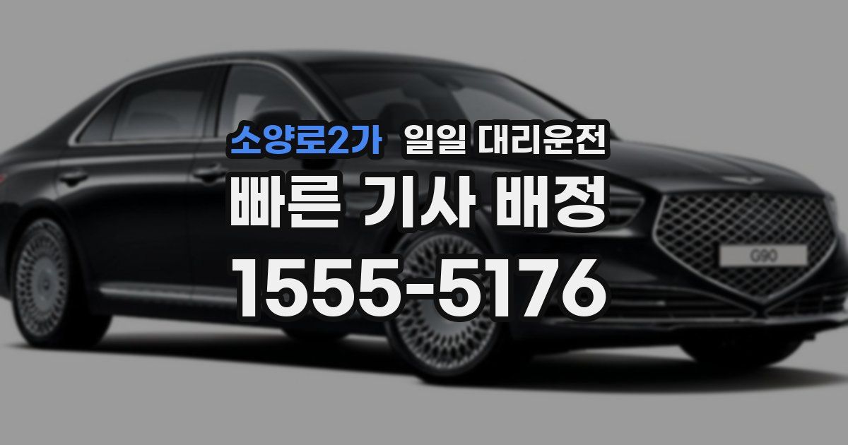 소양로2가 일일 대리운전