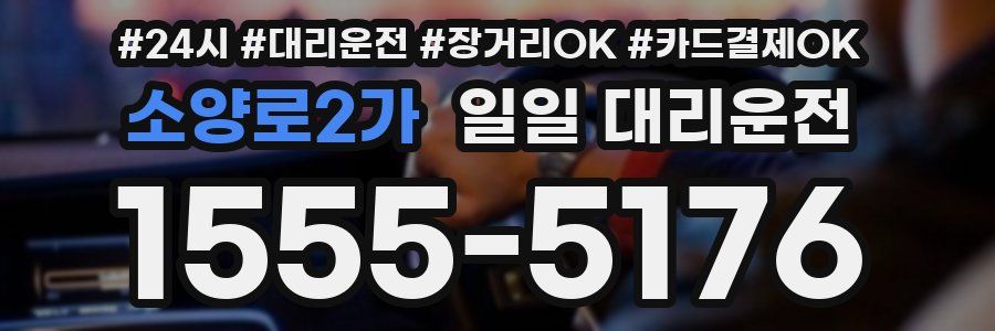 소양로2가 일일 대리운전