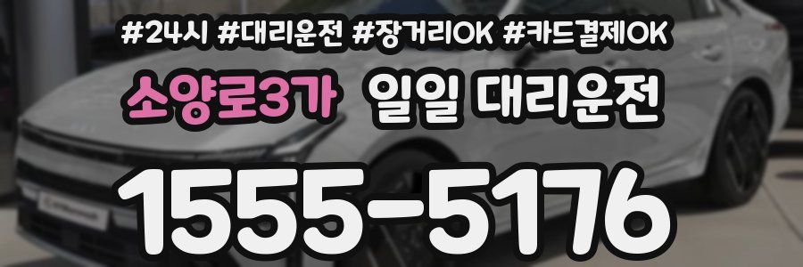 소양로3가 일일 대리운전