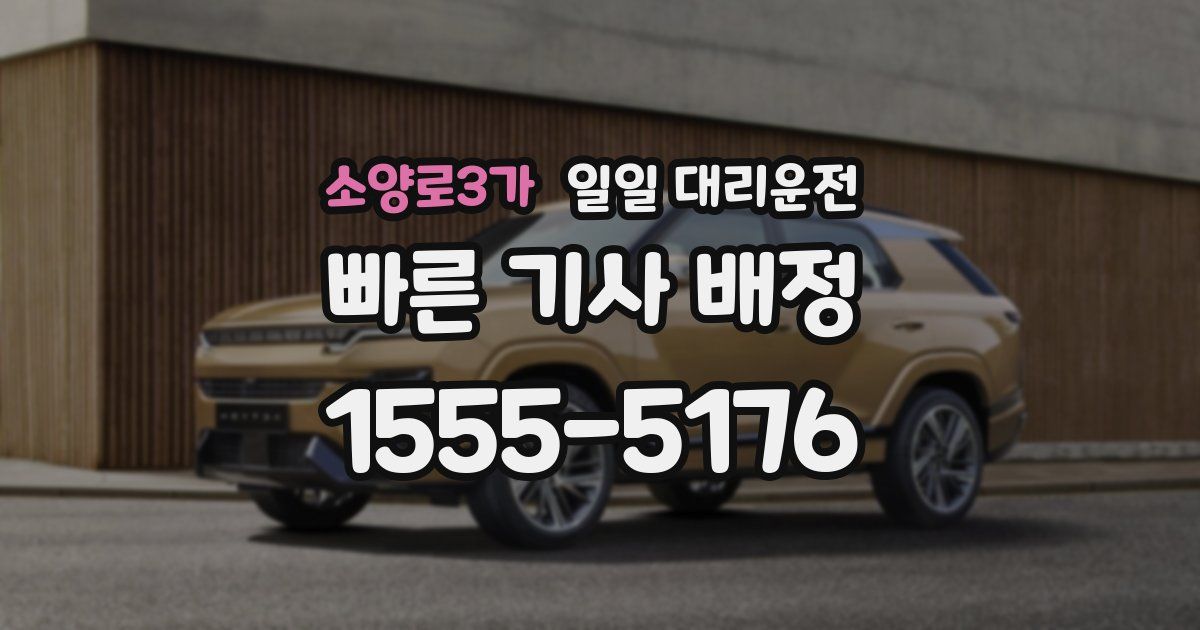 소양로3가 일일 대리운전