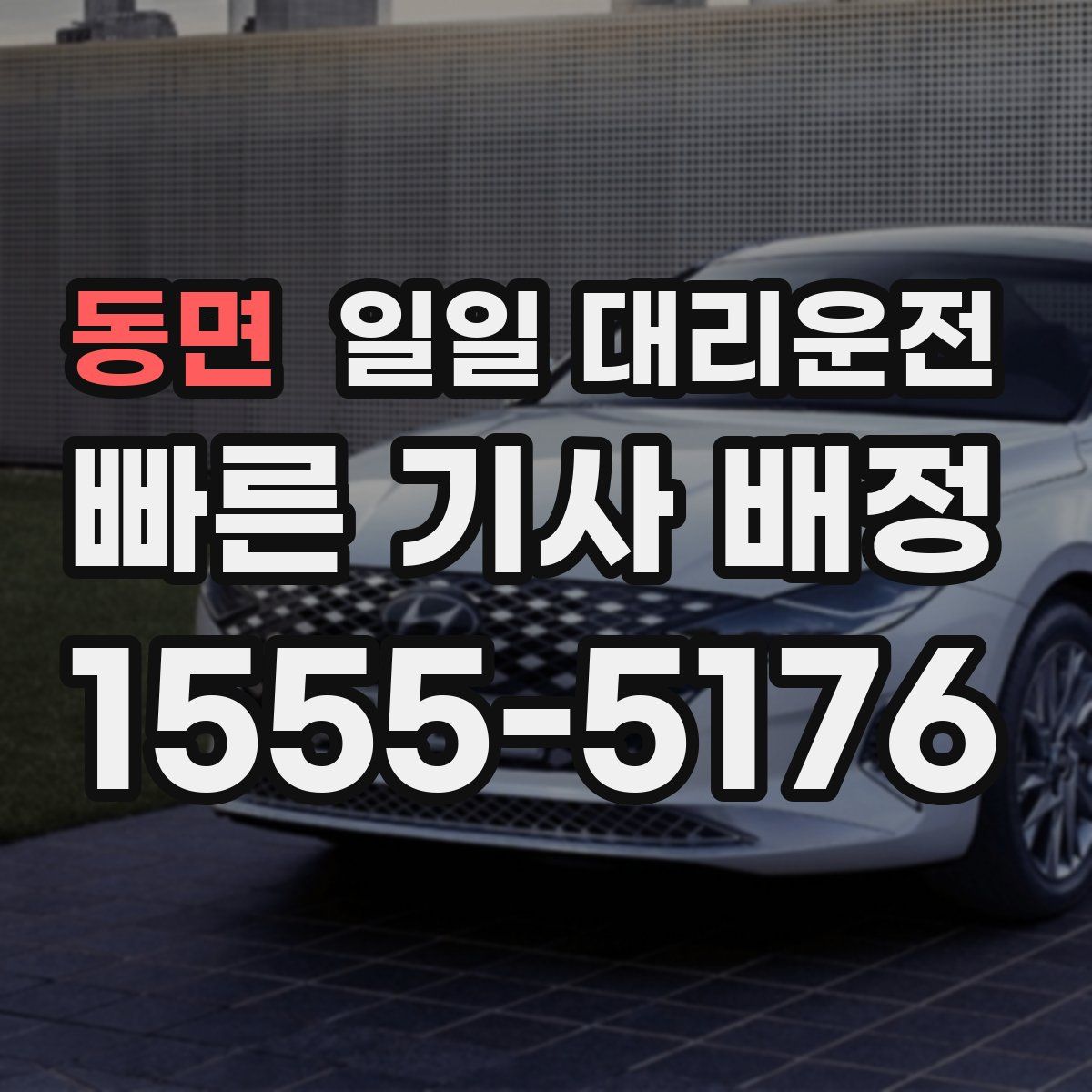 동면 일일 대리운전