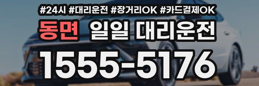 동면 일일 대리운전