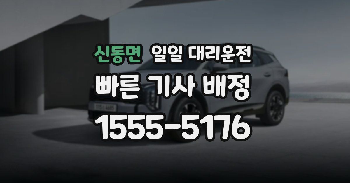 신동면 일일 대리운전