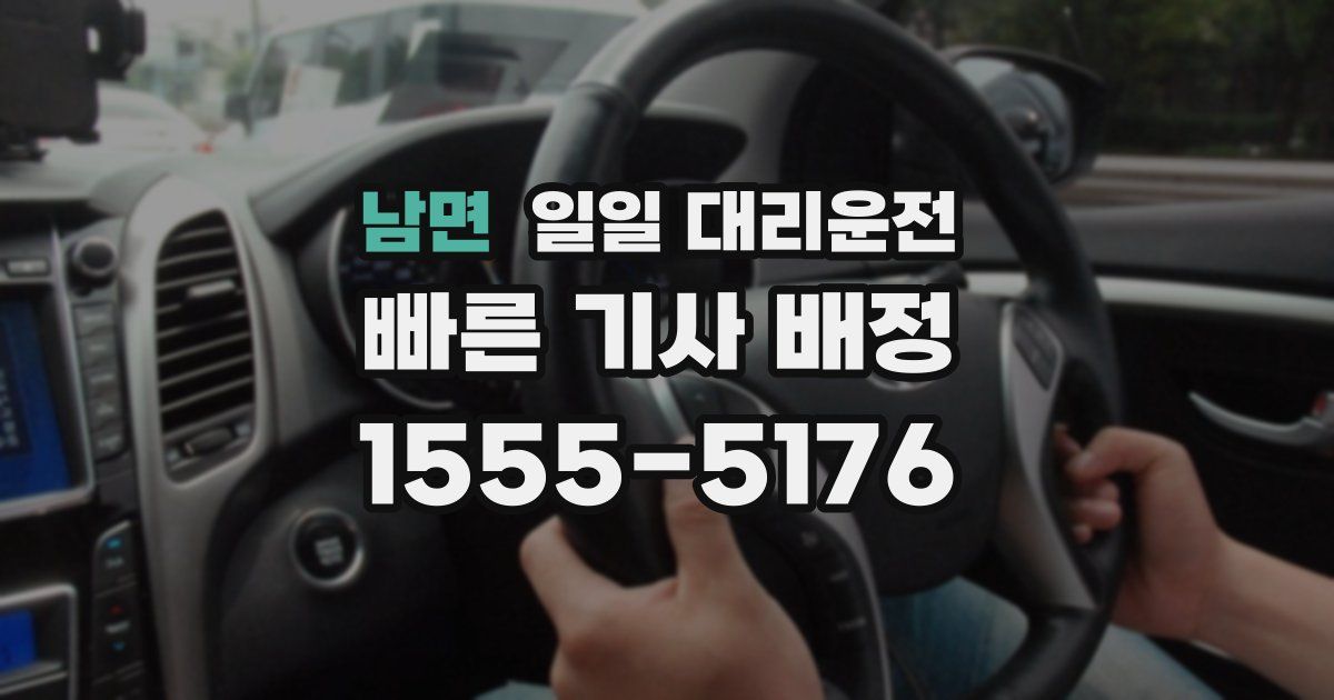 남면 일일 대리운전
