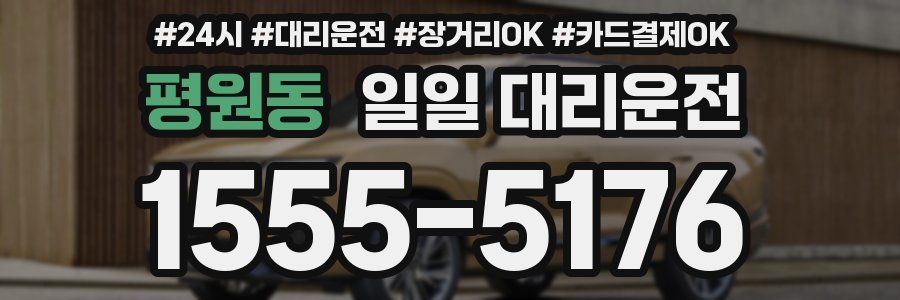 평원동 일일 대리운전