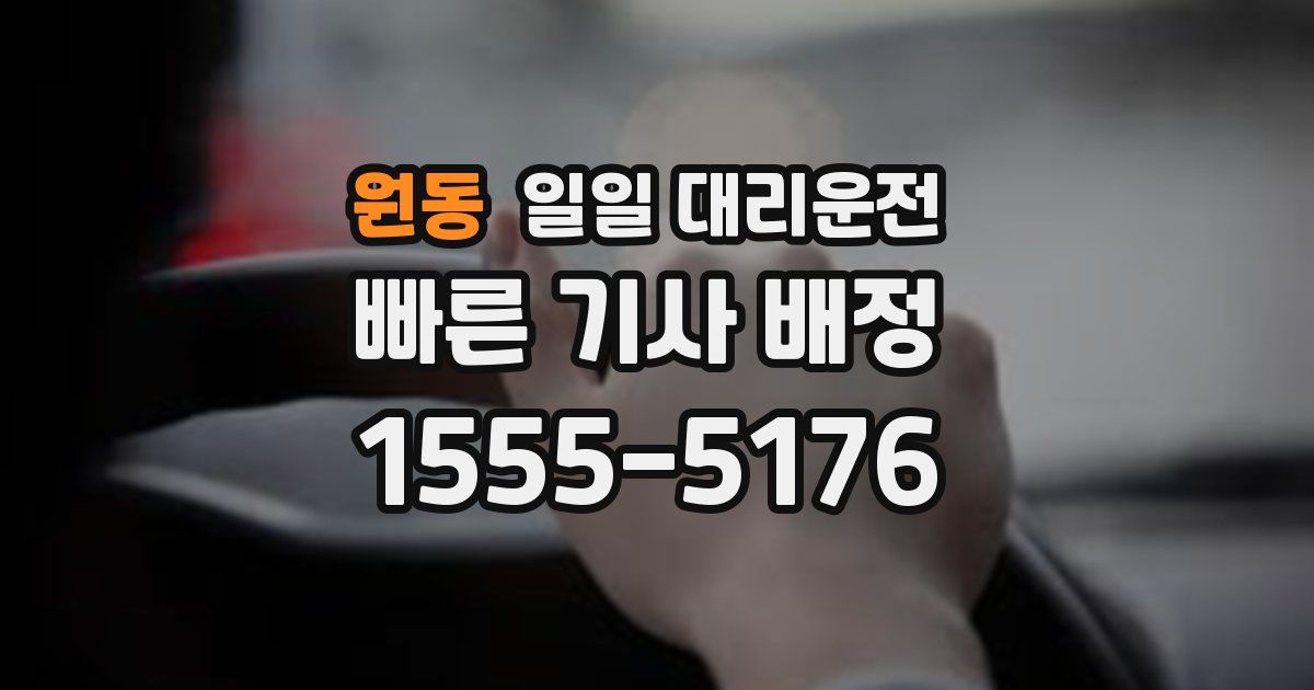 원동 일일 대리운전