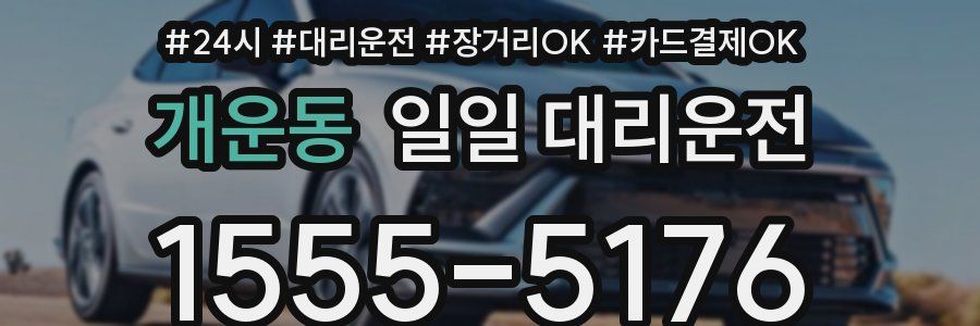 개운동 일일 대리운전
