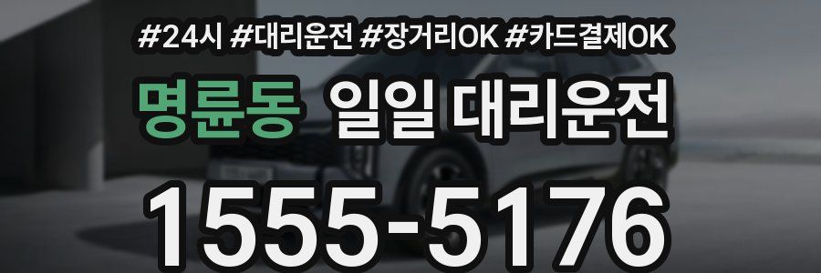 명륜동 일일 대리운전