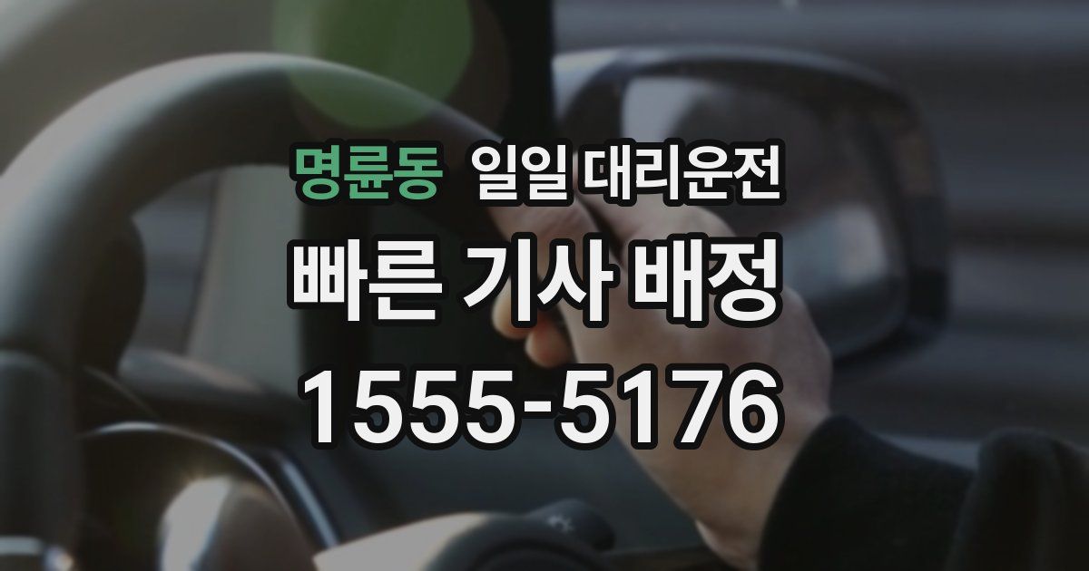 명륜동 일일 대리운전