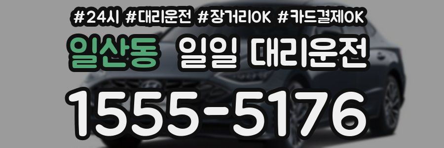 일산동 일일 대리운전