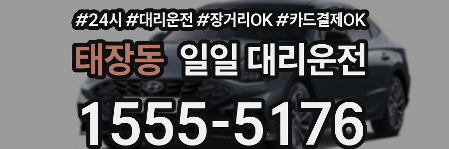 태장동 일일 대리운전