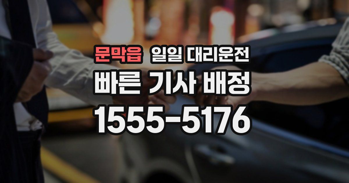 문막읍 일일 대리운전
