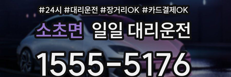 소초면 일일 대리운전