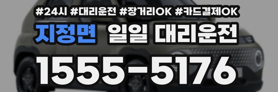지정면 일일 대리운전