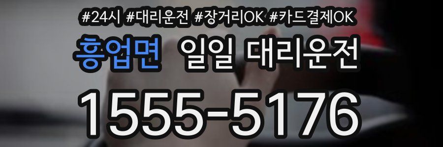 흥업면 일일 대리운전