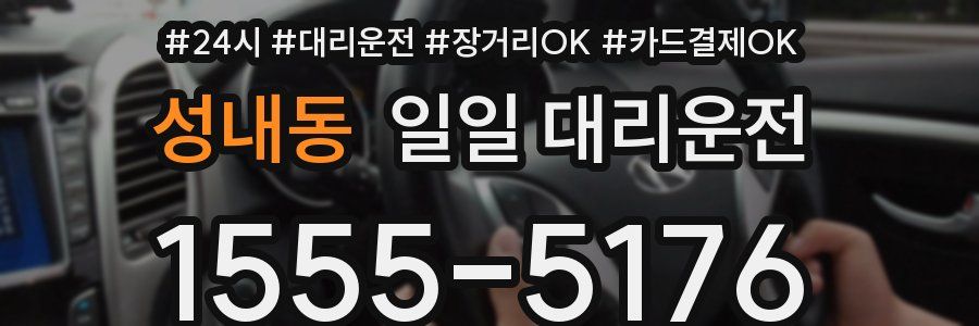 성내동 일일 대리운전