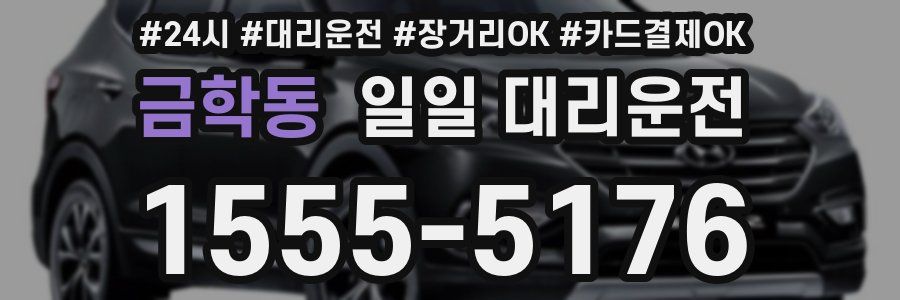 금학동 일일 대리운전
