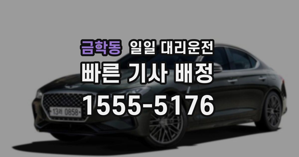 금학동 일일 대리운전