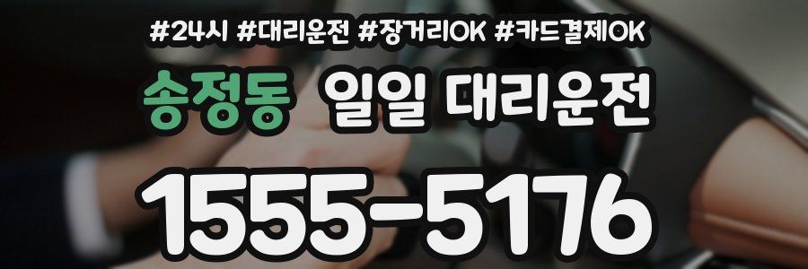 송정동 일일 대리운전