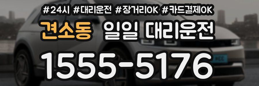 견소동 일일 대리운전