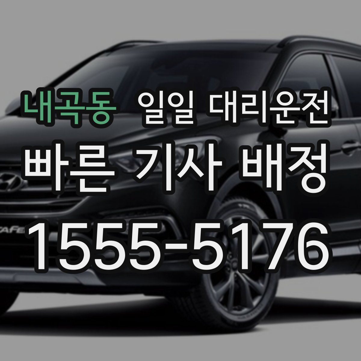 내곡동 일일 대리운전