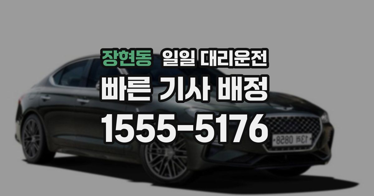 장현동 일일 대리운전
