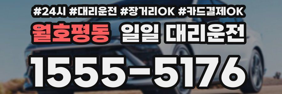 월호평동 일일 대리운전