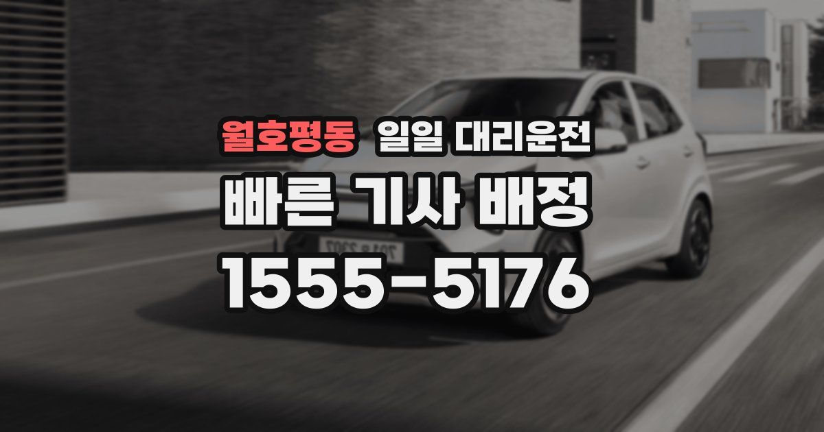 월호평동 일일 대리운전