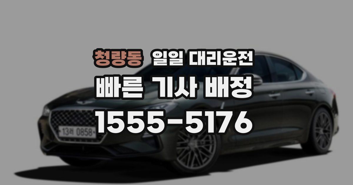 청량동 일일 대리운전