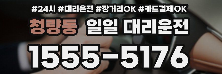청량동 일일 대리운전
