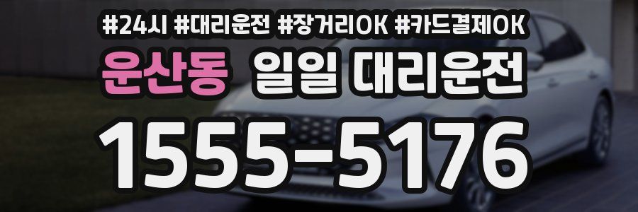 운산동 일일 대리운전