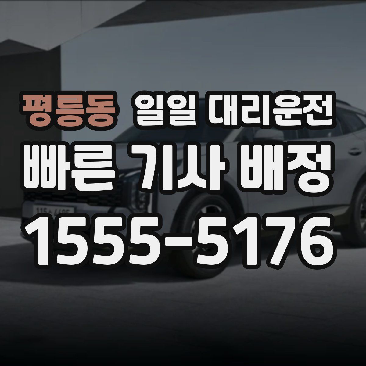 평릉동 일일 대리운전