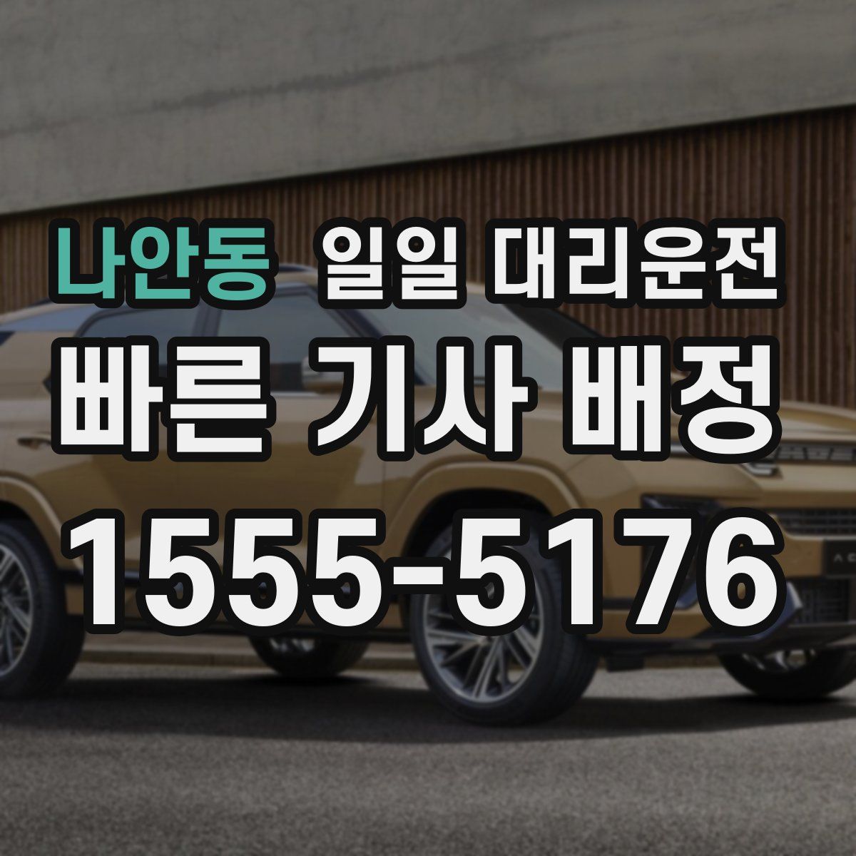 나안동 일일 대리운전