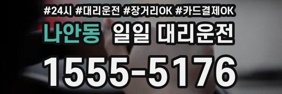 나안동 일일 대리운전