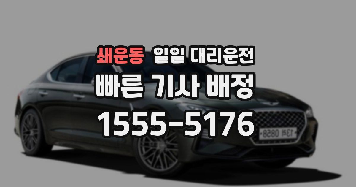쇄운동 일일 대리운전