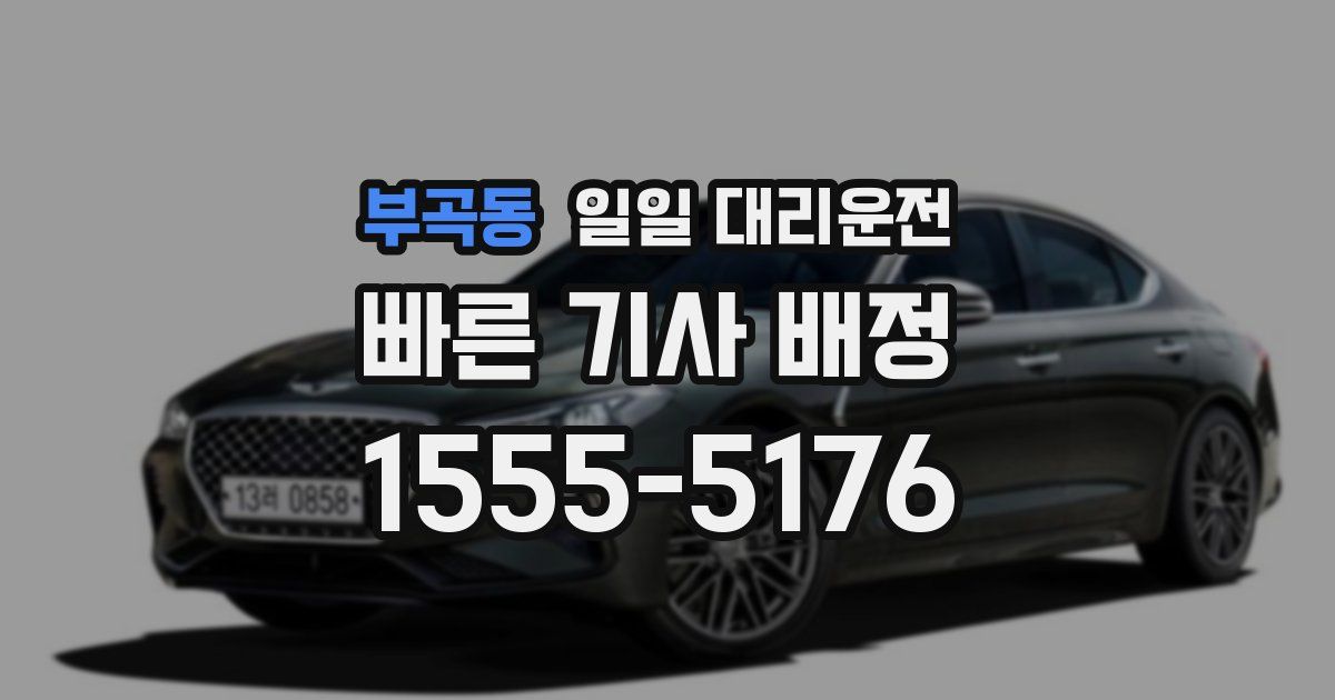부곡동 일일 대리운전