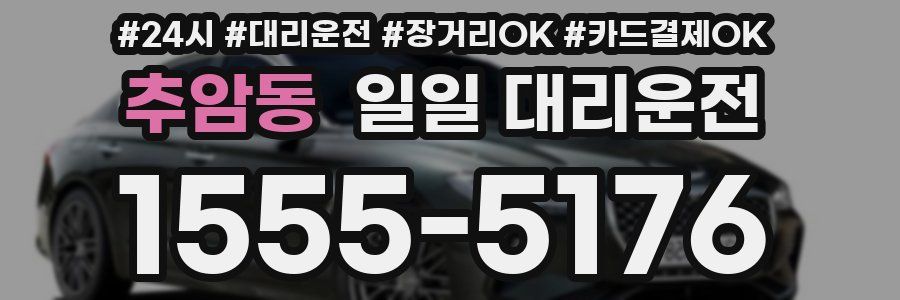 추암동 일일 대리운전
