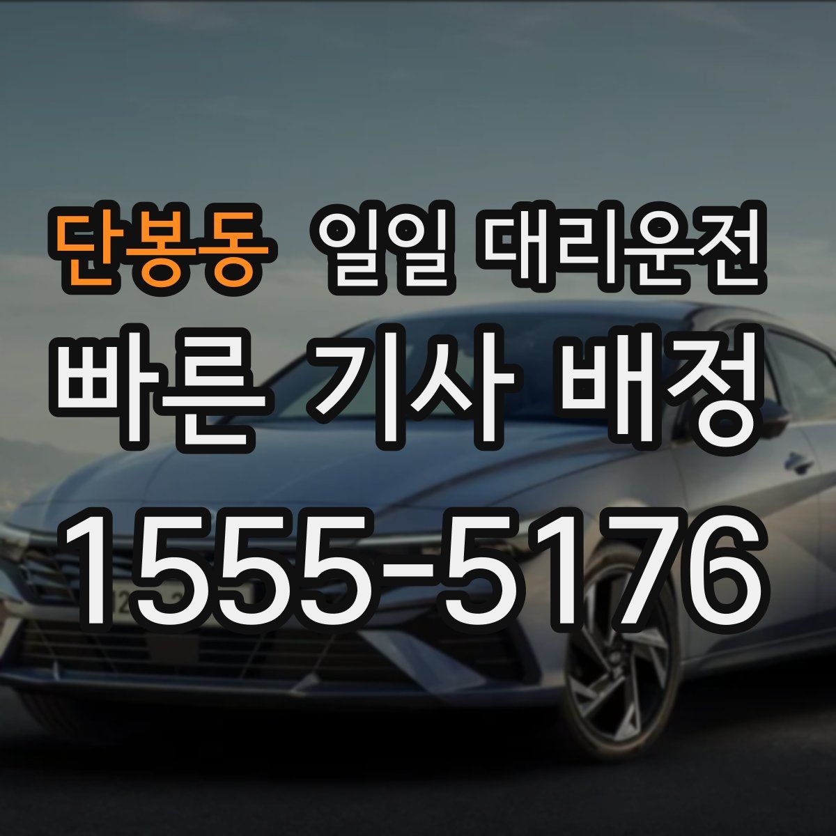 단봉동 일일 대리운전