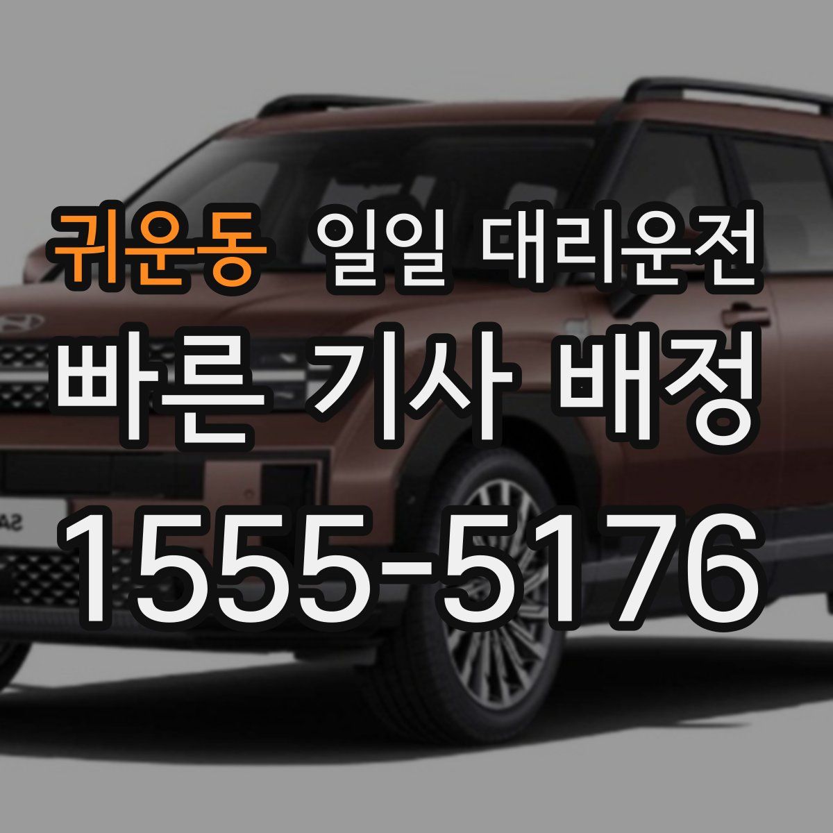 귀운동 일일 대리운전