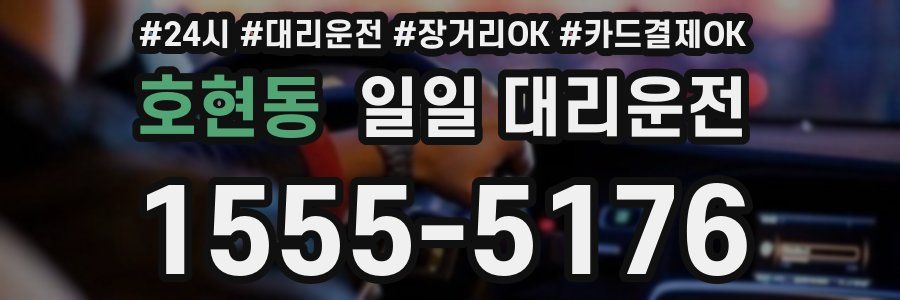 호현동 일일 대리운전