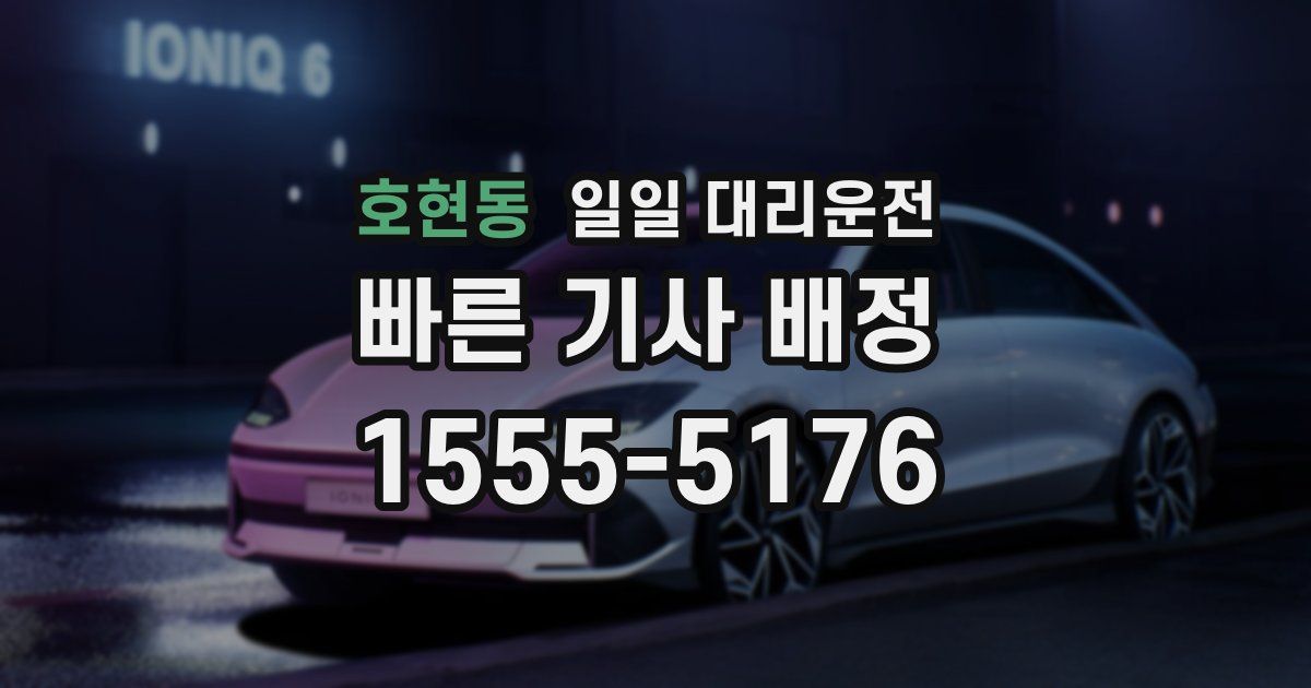 호현동 일일 대리운전