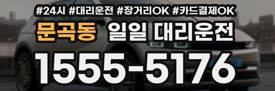 문곡동 일일 대리운전